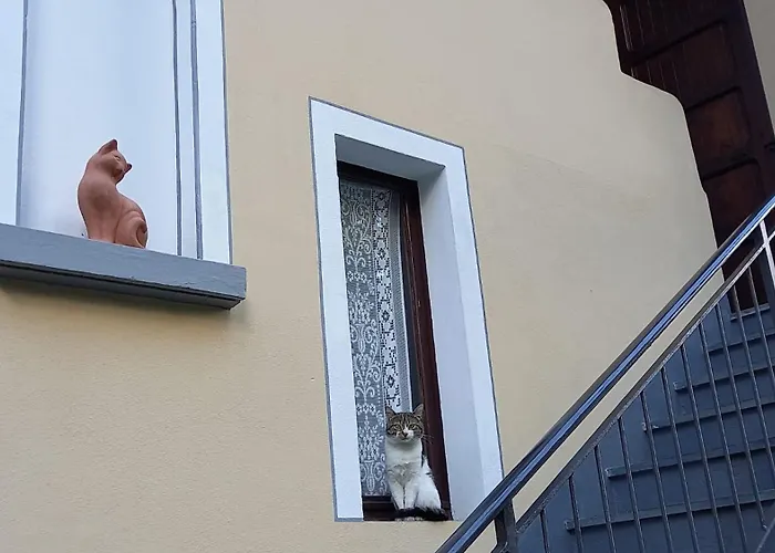 Апартаменти Via Monte Braulio 19 Борміо