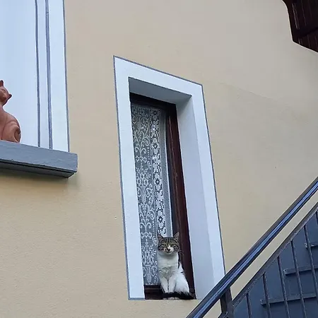 Apartment Via Monte Braulio 19 Bormio