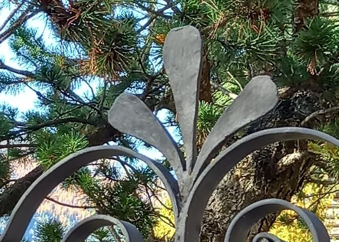 Apartment Via Monte Braulio 19 *