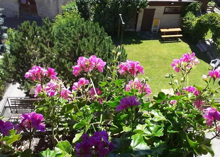 Via Monte Braulio 19 Apartment *