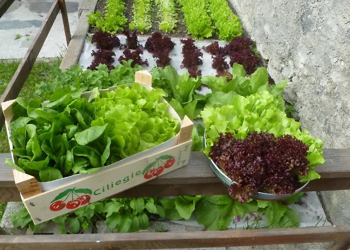 Via Monte Braulio 19 Bormio